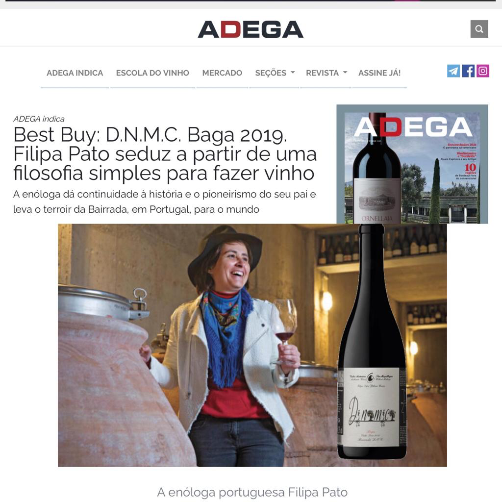 ADEGA Best Buy